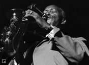 Sonny Stitt (1924-1982)